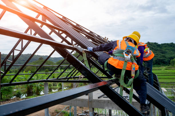 Best Roof Gutter Cleaning  in Orleans, VT