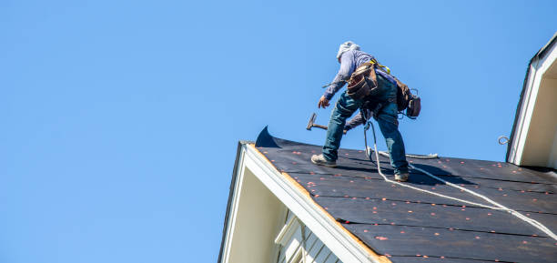 Best Shingle Roofing Installation  in Orleans, VT